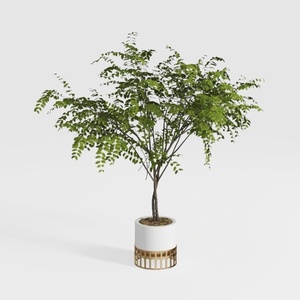 plant-Refined living