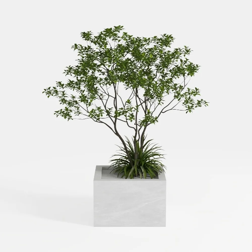 Fake Tree Faux Olive Tree Artificial Olive Trees