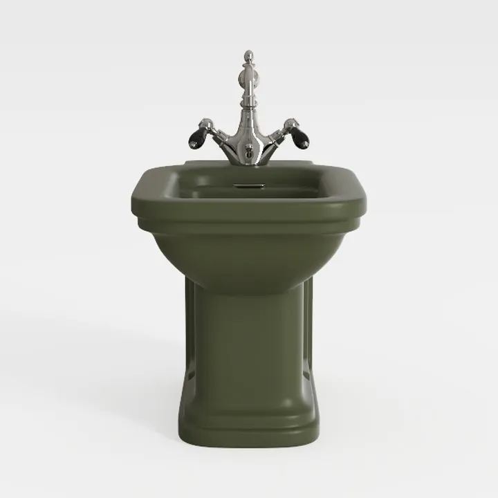 bidet-Bathroom