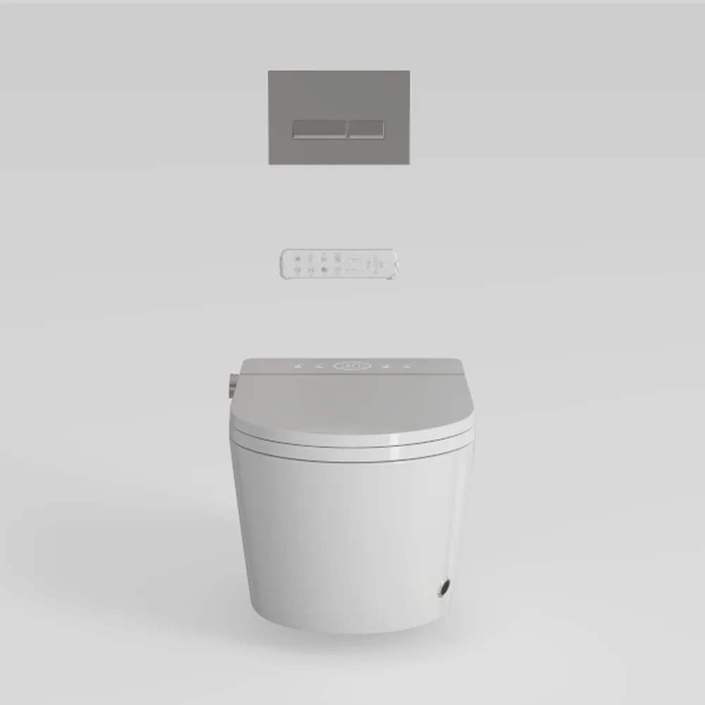 Smart Bidet Toilet, One Piece Tankless Bidet