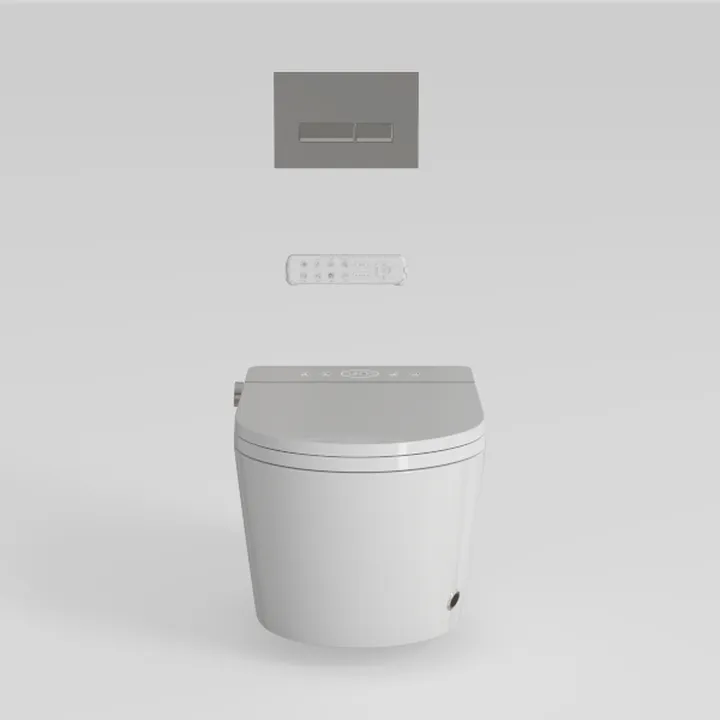 Smart Bidet Toilet, One Piece Tankless Bidet