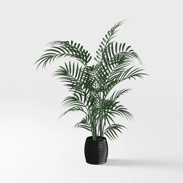 Minimalist Potted Palm Floor Plant Decor 3D Model