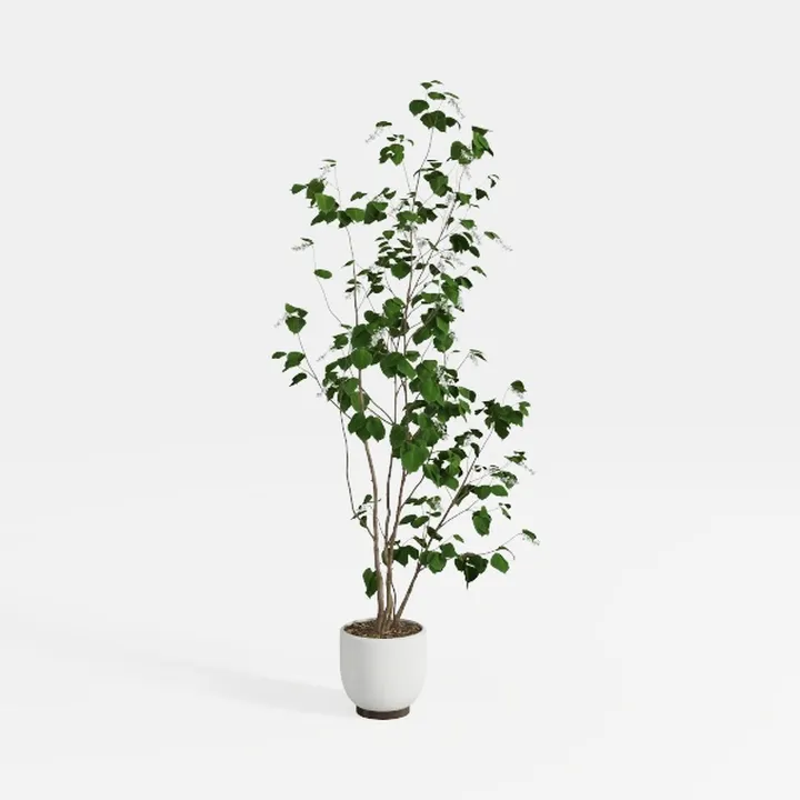 Minimalist Potted Faux Green Leaf Tree 3D Model