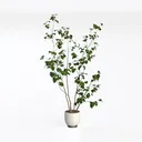 Minimalist Potted Faux Green Leaf Tree 3D Model Left 45 Degree View