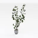 Minimalist Potted Faux Green Leaf Tree 3D Model Right 45 Degree View