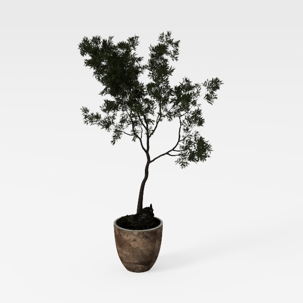 SIDUCAL Ceramic Rustic Farmhouse Vase | 6 Inch