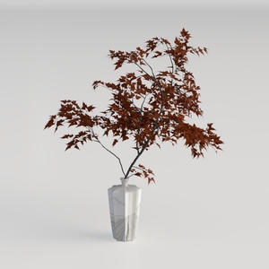 Designer Plant-88