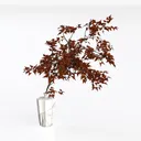 Designer Plant-88 Left 45 Degree View