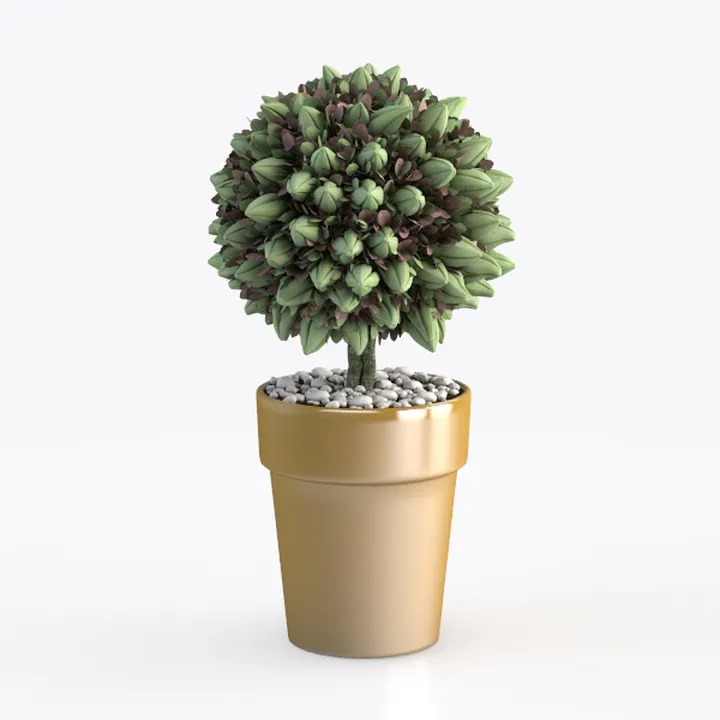 Minimalist Decorative Potted Topiary Tree 3D Model