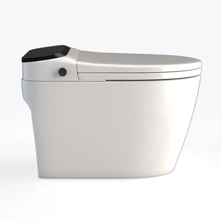 Smart Toilet with Bidet Built in - Bidet Toilet