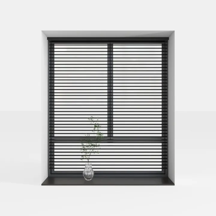 Bay Window-premium quality 4