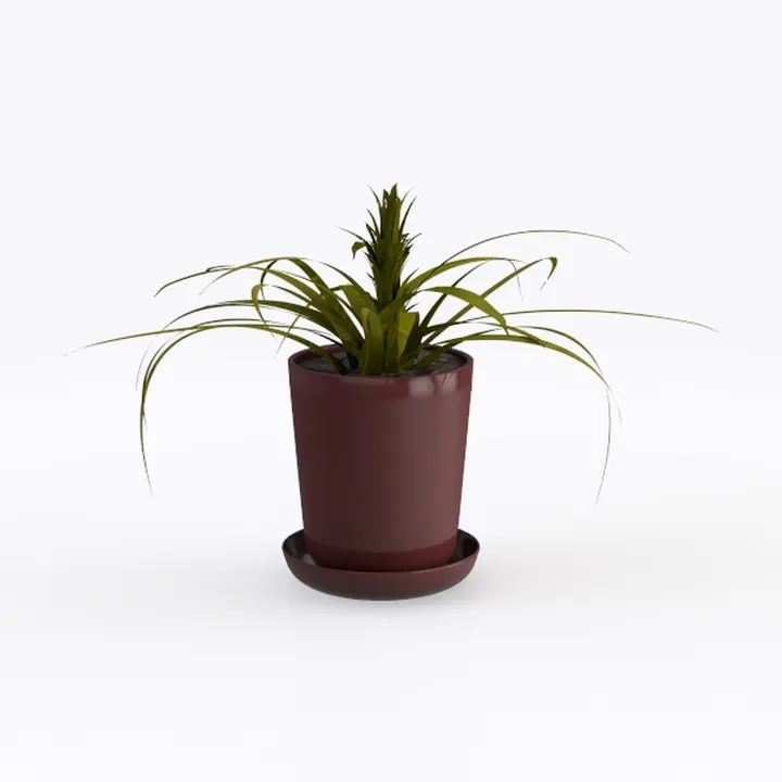Minimalist Ceramic Potted Green Plant 3D Model