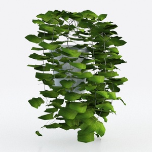 hanging plants-Hanging Greens