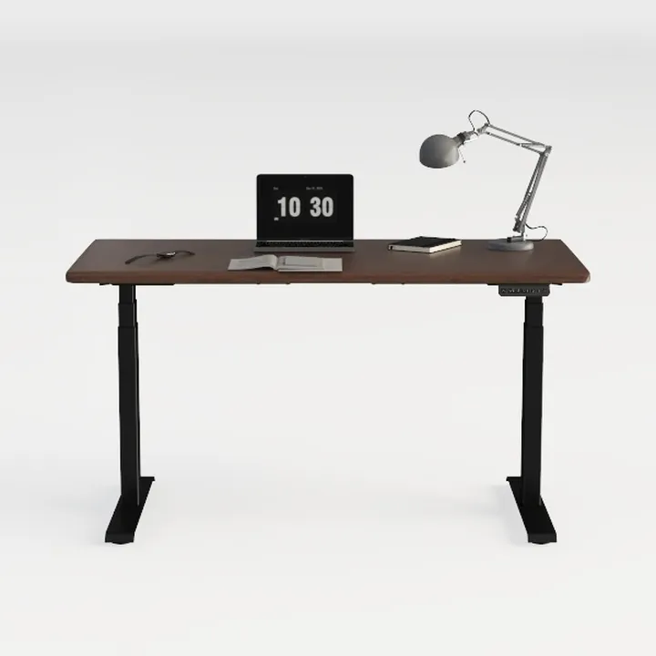 STARY Electric Standing Desk Adjustable Height Sit