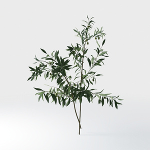 Open-air Cafe-plants 20.max