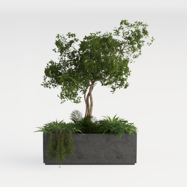 tree-Open-Air Living