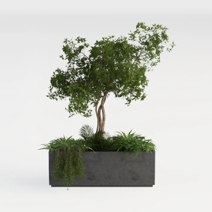tree-Open-Air Living
