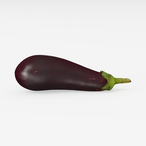 Eggplant-Fruit & Veg Art