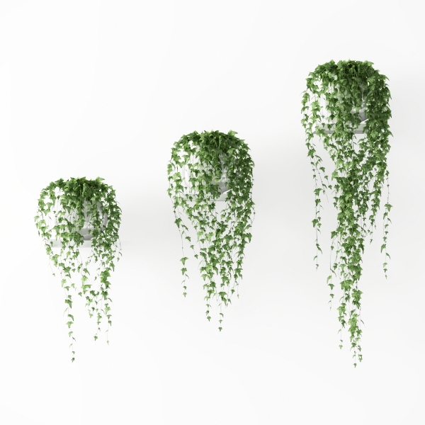 hanging plant pots-Lovely Sunshine