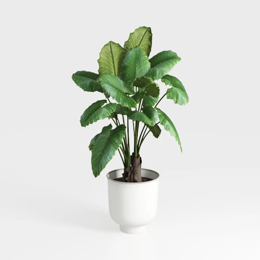 Set of 2 Artificial Monstera Deliciosa Plants in