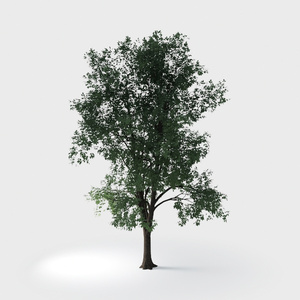 Open-air Cafe-plants 4.max