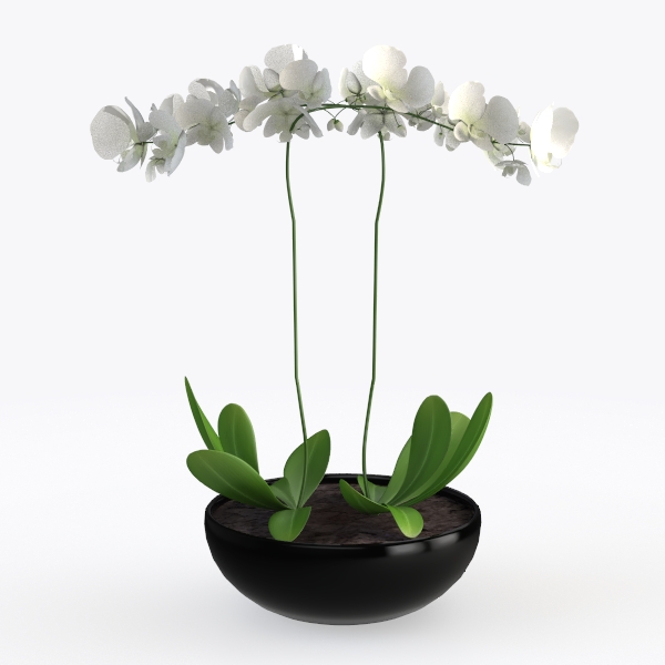 desktop accessories_56