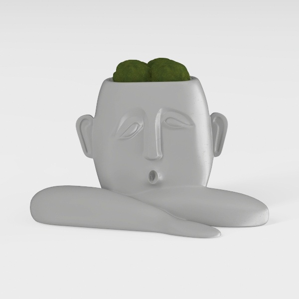 plant-Youthful Comrades