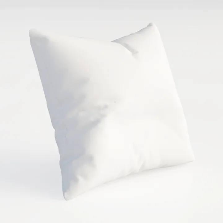 EDOW Throw Pillow Insert, Set of 2 Down