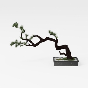 potted plant-Japanese Artistry