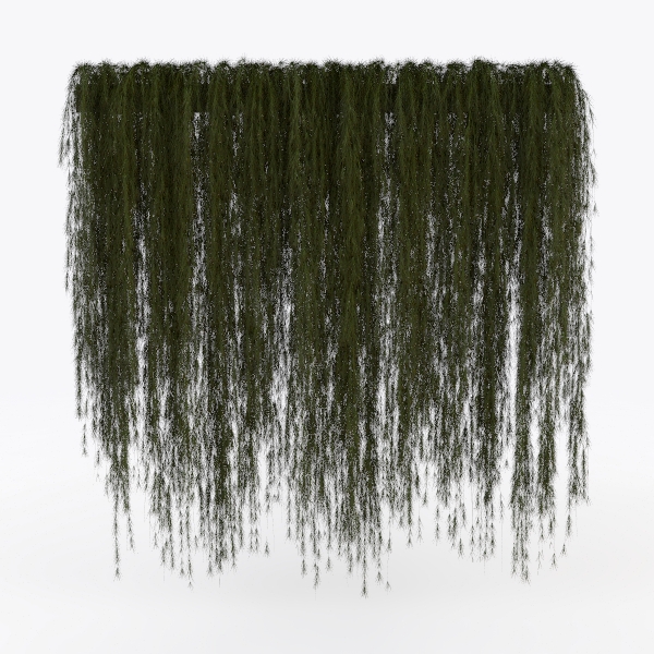 hanging plants-Hanging Greens