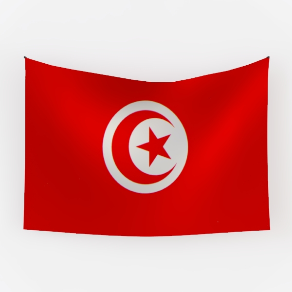Tunisian flag