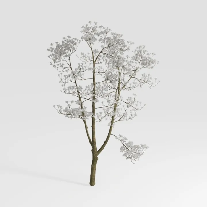 Minimalist Natural Wood Decorative Tree 3D Model