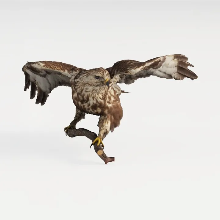 eagle-Wild Kingdom