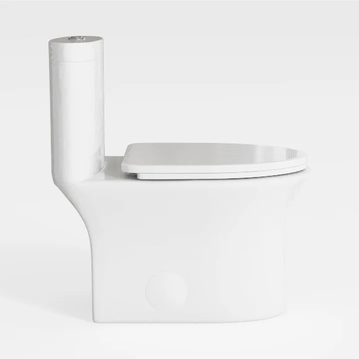 Eridanus One Piece Toilet Elongated With Soft