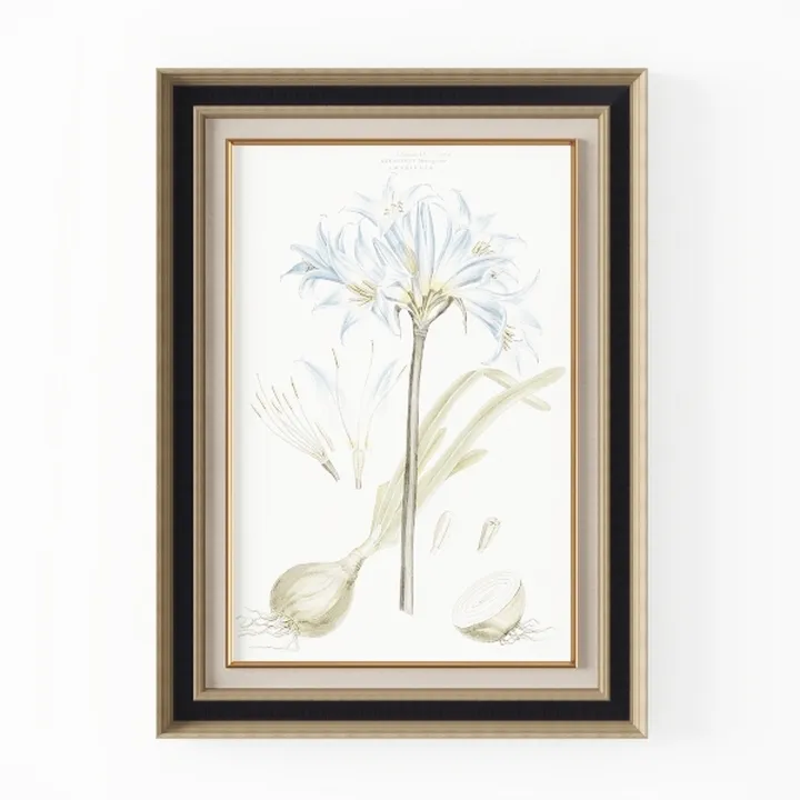 Minimalist Vintage Botanical Framed Wall Art 3D Model
