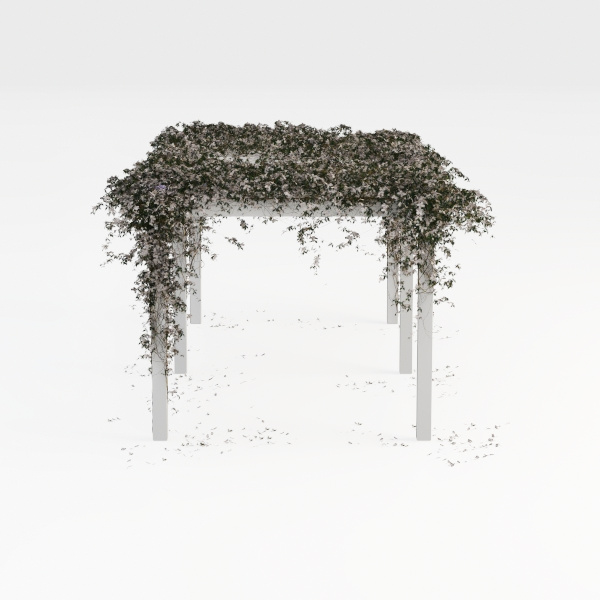 plant-Green Haven