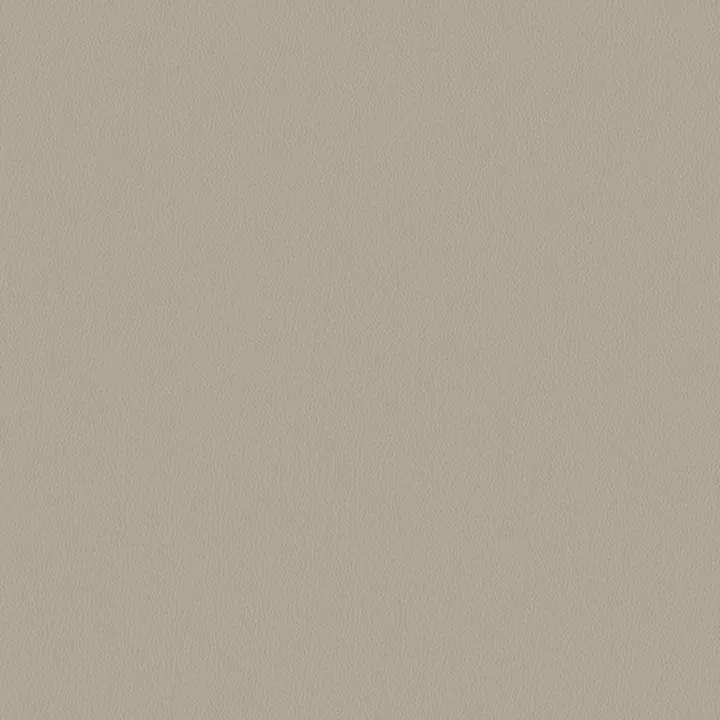 Wall-to-wall Carpet 389
