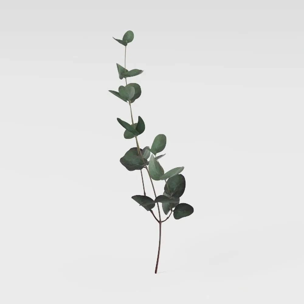 Artificial Rubber Tree,6ft Tall Fake Plants