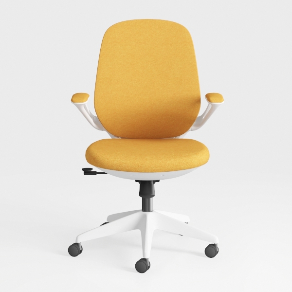 HOMEFUN Kids Desk Chair, Computer Chairs with