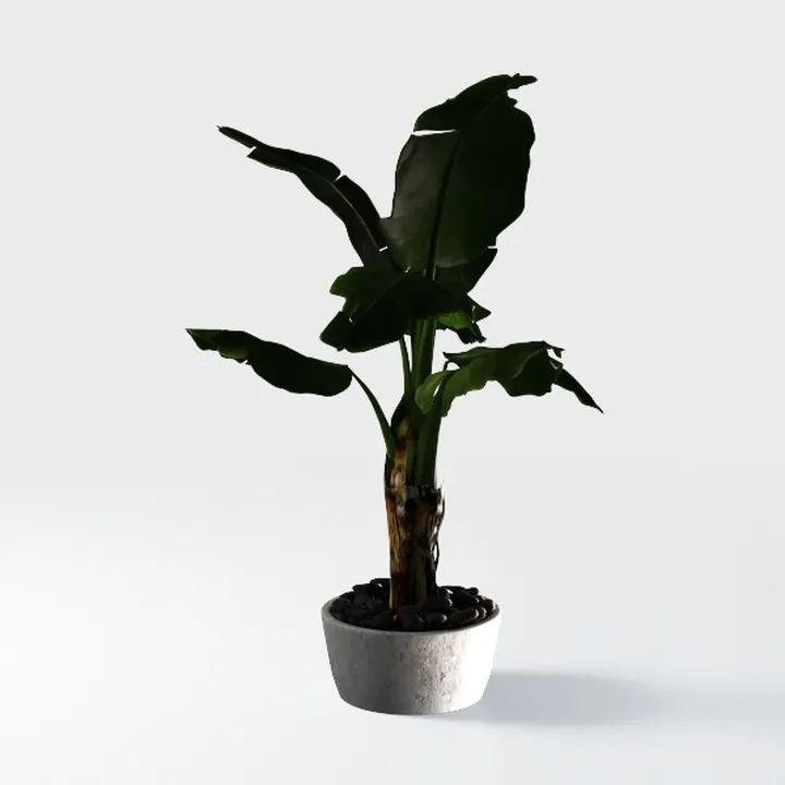 Dracaena Artificial Plants Indoor, 5FT Tall Faux