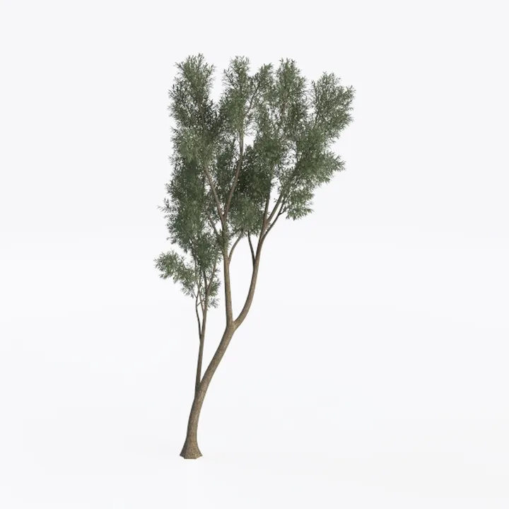 tree-Landscape Greenery