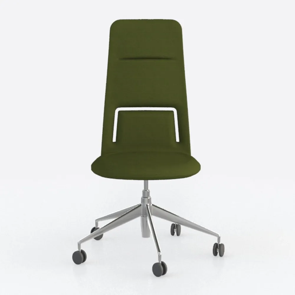 Desk Chair, Modern Style, Home Office Chair, Ergon