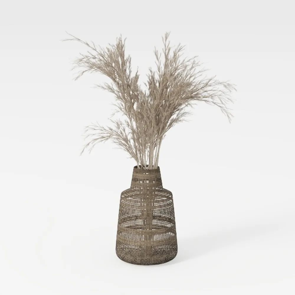 Large Ceramic Rustic Vase with 2 Handles, 9.8 inch