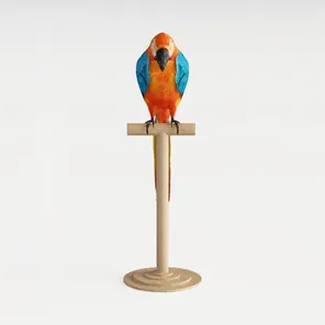 model review img 1