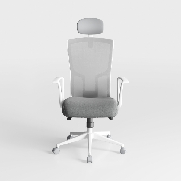 FMURY Home Computer Chairs Office Chairs Ergonomic