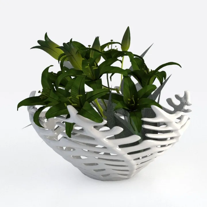 American Plant Exchange Marble Queen Pothos – Live