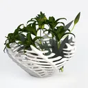 American Plant Exchange Marble Queen Pothos – Live Left 45 Degree View