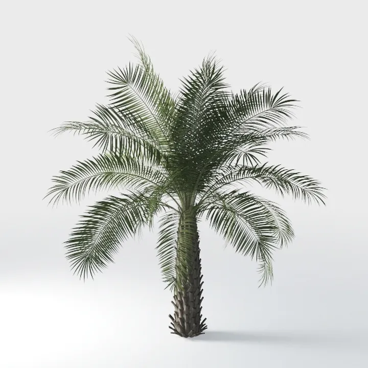 Realistic Potted Palm Tree Indoor Outdoor Decor 3D Model