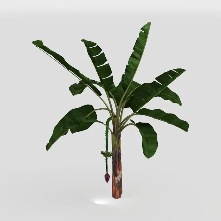 Artificial Bird of Paradise Plant 5.2Ft Fake Tropi