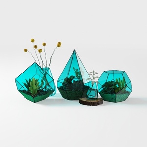 Summer Vibes-plant.max (4)